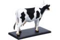 AOSHIMA 078198 4D視覺--動物#03 解剖牛隻/塗裝完成品