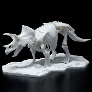 BANDAI LIMEX骨骼 恐龍組裝模型 三角龍