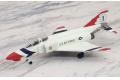 WITTY W144-08001 金屬完成品--1/144 美國.麥克唐納公司 F-4E'鬼怪II'戰鬥機/美國.雷鳥中隊式樣