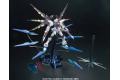 BANDAI 148083 1/100 XGMF-X20A 攻擊自由鋼彈 STRIKE FREEDOM GUNDAM