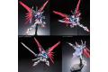 BANDAI 5061616 1/144 RG#11 ZGMF-X42S 命運鋼彈 DESTINY GUNDAM