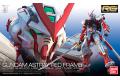 BANDAI 5061618 1/144 RG#19 紅色異端鋼彈 MBF-P02 Gundam Astray Red Frame