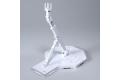 BANDAI 5059256 1/100及1/144 鋼彈 萬用可動展示架(白) ACTION BASE/WHITE
