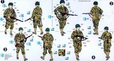 DRAGON 6236 1/35 WW II美國.陸軍 1944年'諾曼地'戰役第二裝甲師步兵人物組(諾曼地60週年紀念精裝版)