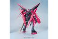 BANDAI 195690 1/100 PPGN-001 黑暗物質型能天使鋼彈 GUNDAM EXIA DARK MAT