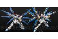 BANDAI 5061617 1/144 RG#14 ZGMF-20A攻擊自由鋼彈 STRIKE FREEDOM