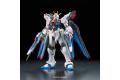 BANDAI 5061617 1/144 RG#14 ZGMF-20A攻擊自由鋼彈 STRIKE FREEDOM