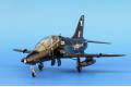 AIRFIX A-05121 1/48 英國.空軍 BAE`鷹`T.1高級教練機