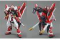 EFFECTSWINGS  eft-1001R 1/100 MBF-P02紅異端適用飛行背包