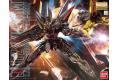 BANDAI 175702 1/100 GAT-X207電擊鋼彈 BLITZ GUNDAM