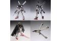 BANDAI 145936 1/100 XM-X1 骷髏鋼彈 X1 Ver.Ka CROSSBONE GUNDAM X1