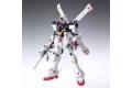 BANDAI 145936 1/100 XM-X1 骷髏鋼彈 X1 Ver.Ka CROSSBONE GUNDAM X1