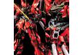 BANDAI 162051 1/100 MSN-06S新安州 特殊質感版 SINANJU(METALIC COATING VER. )