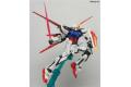 BANDAI 114212 1/60 GAT-X105 打擊鋼彈 STRIKE GUNDAM 