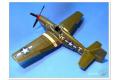 TAMIYA 61042 1/48 WW II美國.陸軍 P-51B'野馬'戰鬥機