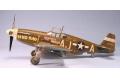 TAMIYA 61042 1/48 WW II美國.陸軍 P-51B'野馬'戰鬥機