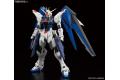 BANDAI 5061611 MG 1/100 ZGMF-X10A 自由鋼彈 Freedom Gundam Ver.2.0版