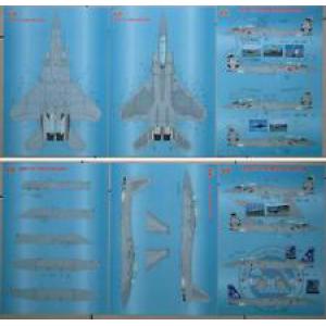PHOENIX pho-32031 1/32 日本.航空自衛隊 F-15J/DJ'鷹'戰鬥機適用水貼紙/細部解說資料