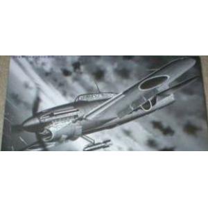 FINEMOLDS FA-4 1/48  WW II日本.帝國海軍 空技廠 D4Y2'彗星'11型艦上攻擊機