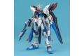 BANDAI 156892 1/100 ZGMF-20A攻擊自由鋼彈/特殊質感版 STRIKE FREEDOM GUNDAM/METICALL COATING VER.