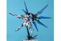 BANDAI 156892 1/100 ZGMF-20A攻擊自由鋼彈/特殊質感版 STRIKE FREEDOM GUNDAM/METICALL COATING VER.