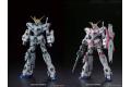 BANDAI 215089 1/100 獨角獸鋼彈(含綠色/紅色框體版)/鈦塗裝完整版 UNICORN GUNDAM RED/GREEN CHO-FRAME PROTOTYPE MOBILE SUIT /TITANIUM FINISH 
