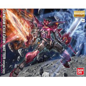 BANDAI 195690 1/100 PPGN-001 黑暗物質型能天使鋼彈 GUNDAM EXIA DARK MAT
