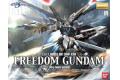 BANDAI 138527 1/100 ZGMF-X10A 自由鋼彈/電鍍版 FREEDOM GUNDAM/METALLIC COATING VER.