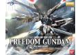 BANDAI 138527 1/100 ZGMF-X10A 自由鋼彈/電鍍版 FREEDOM GUN...