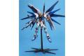 BANDAI 138527 1/100 ZGMF-X10A 自由鋼彈/電鍍版 FREEDOM GUNDAM/METALLIC COATING VER.