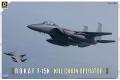 D-CORPORATION DCM-48002P 1/48 南韓.空軍 F-15K'鷹'戰鬥轟炸機/'攻擊鏈操作手'式樣 @@