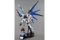 BANDAI 216378 1/100 戲劇性組合(MG版自由鋼彈VER 2.0&大和胸像)
