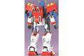 BANDAI 043631 1/144 機動武鬥傳 #G-03 尊者鋼彈 GUNDAM MASTER