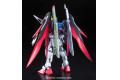 BANDAI 151244 1/100 ZGMF-X42S 命運鋼彈/豪華版DESTINY GUNDAM/Extreme Blast Mode