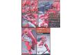 BANDAI 154481 1/100 OO鋼彈--#08 GNY-001F正義女神 TYPE-F