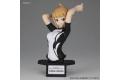 BANDAI 216398 FIGURE-RISE胸#22 玩偶畫胸像--星野文奈 片尾型式  TRY Fumina Hoshino Ending Ver.@@
