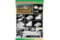 DRAGON 6812 1/35 WW II德國.陸軍 Pz.Beob.wg.II Ausf.C 二號C型砲彈觀察坦克/2合1