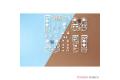 BANDAI 215361'HACO ROOM 小熊學校--白色熊熊David人物組@@