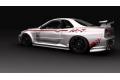 AOSHIMA 043509 1/24 日產汽車 NISMO R-34'天際線/SKYLINE'GT-R Z-TUNE 轎跑車
