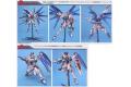 BANDAI 138527 1/100 ZGMF-X10A 自由鋼彈/電鍍版 FREEDOM GUNDAM/METALLIC COATING VER.