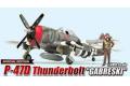 ACADEMY 12222 1/48 WW II美國.陸軍 P-47D'雷霆'戰鬥機/GABRESKI式樣/限量生產