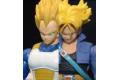 BANDAI 219610 七龍珠Z--超級賽亞人.達爾&特南克斯DX組/爆氣版 SUPER SAIYAN TRUNKS & SUPER SAIYAN VEGETA DX SET