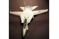 HASEGAWA 07018-P-18 1/48 美國.海軍 F-14A'雄貓'戰鬥機/VF-111/VF-154中隊.太平洋空母航空團式樣
