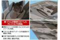 BANDAI 138536 1/100 EX#25 戰鬥妖精雪風--灰色妖精 GREY SYLPH