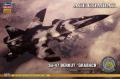 綠標-HASEGAWA 52122-SP-322 1/72 蘇聯.蘇霍伊公司 SU-47'金鷹'前掠翼戰鬥機/空戰奇兵式樣/限量生產@@