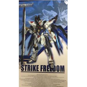 METAL GEAR zgmf-x20a 完成品--1/100 ZGMF-X20A'攻擊自由'鋼彈