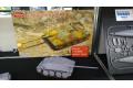 AMUSING 35A021 1/35 WW II德國.陸軍 JAGDPANZER.38D坦克殲擊車
