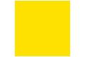 GUNZE  GX-004  速乾系/GX-004 黃 (光澤) CHIARA YELLOW