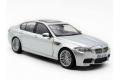 FUJIMI 12094-RS-34 1/24 寶馬汽車 M-5轎車