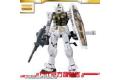 BANDAI 224022 1/100  魂商店限定版--AAPE版--RX-78-2近戰型鋼彈.綠色迷彩 CLOSECOMBAT MOBILE SUIT